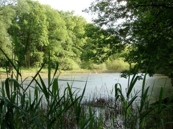 Ferienhaus Bindow Heidesee Bagian luar foto